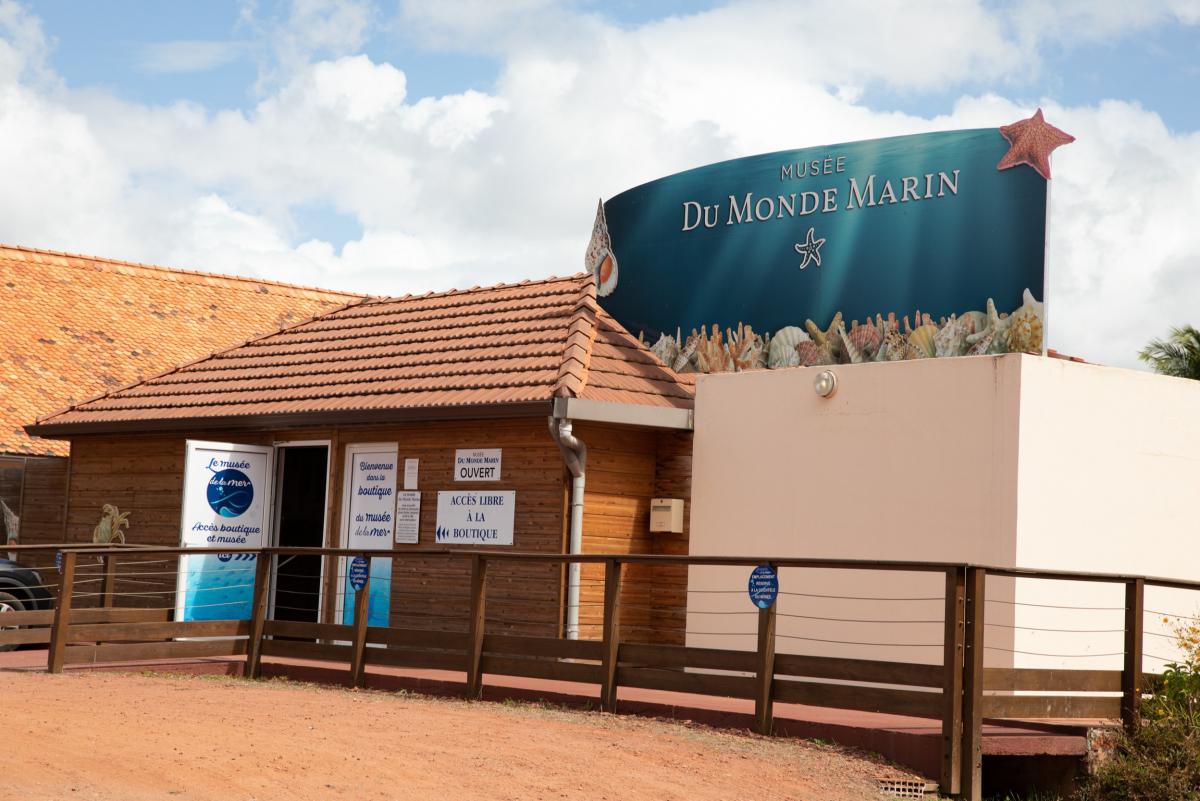Le musée de la mer | Musée marin & coquillage en Martinique