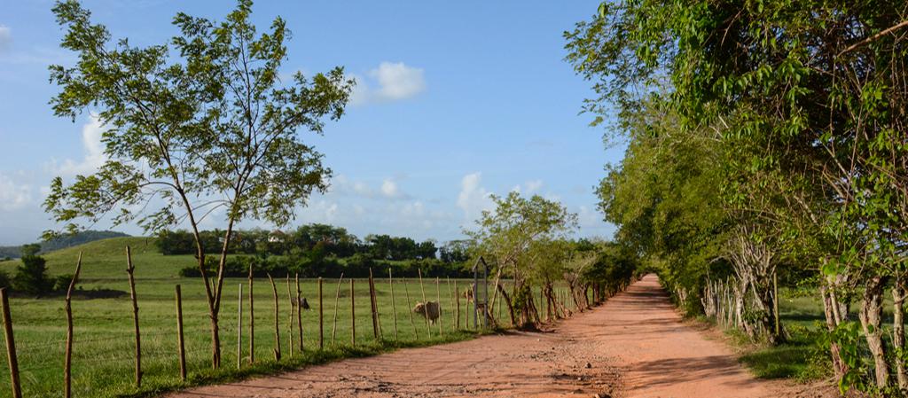 Les commerces du village de la poterie